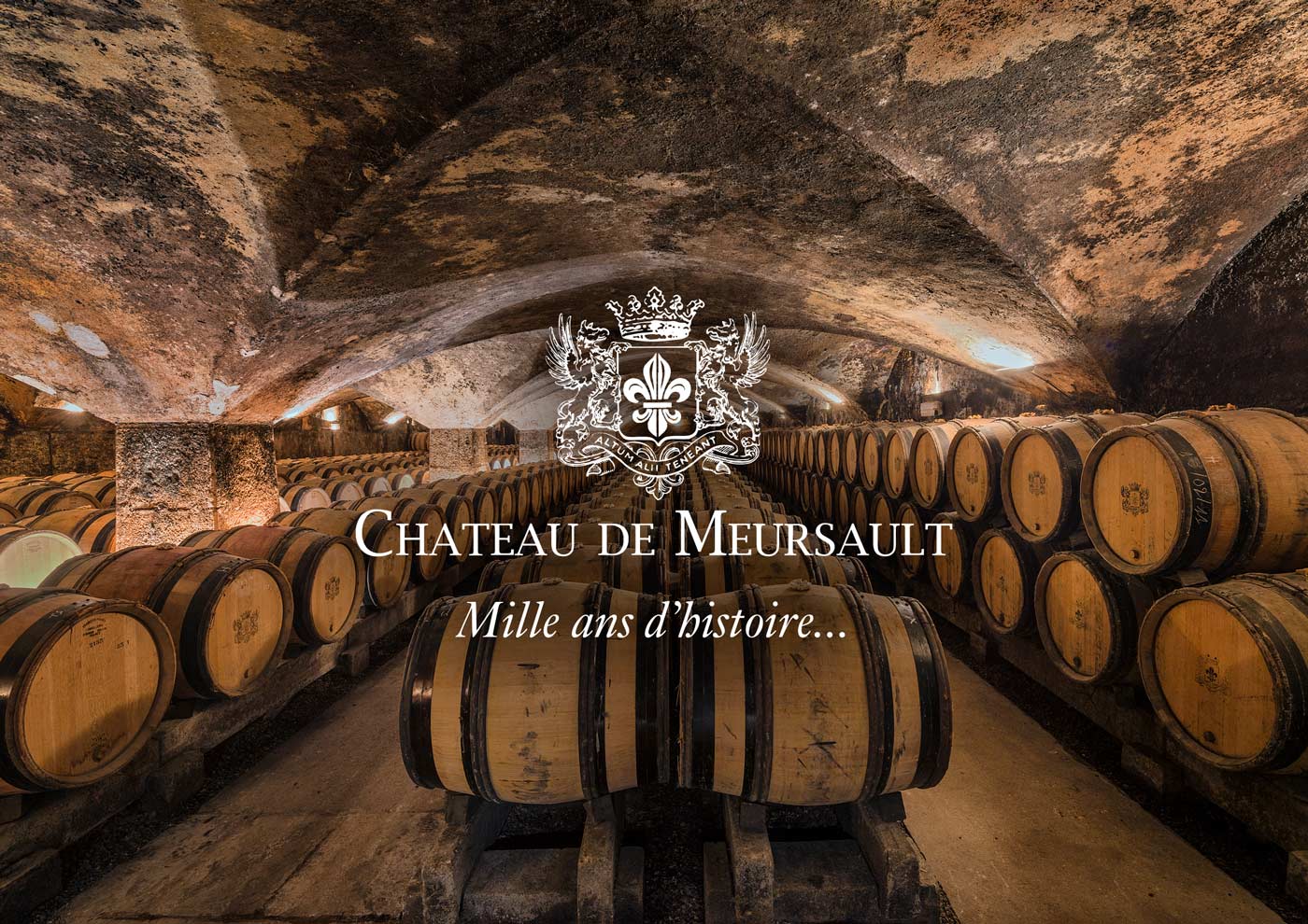 Buy Ladoix Les Chaillots Maldant (no reserve) 2008 (lot