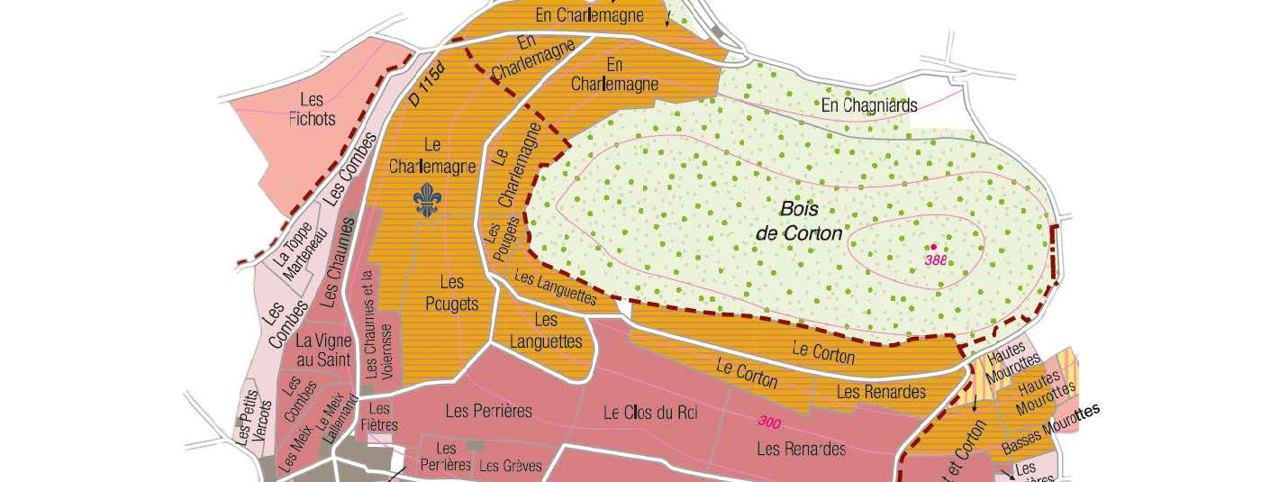 Carte du Corton-Charlemagne Grand Cru
