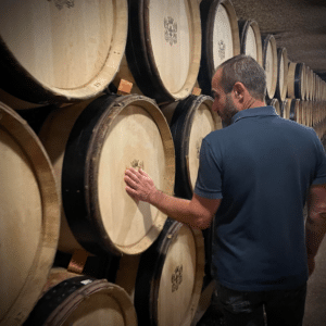 Maître de Chai dans la cave